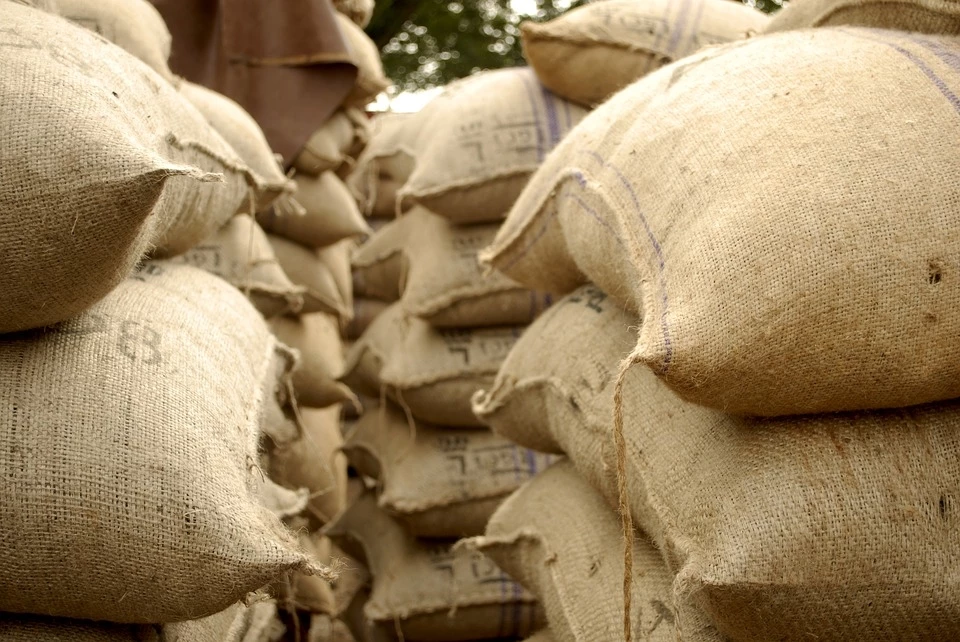 Le secteur de l'importation de sacs de jute est en crise. 
