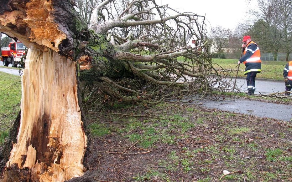 Les deux, sur des brancards de fortune faits avec des morceaux de bois, sont transportés au village.