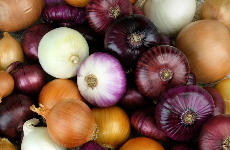 Le jus d'oignon débarasse la prostate de toute sorte de toxines. (Ph: DR)