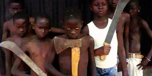 Les "microbes" ont fait des émules au Cameroun (Ph d'archives)