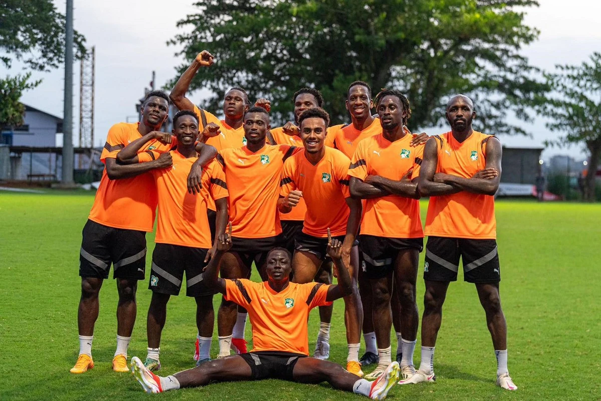 LES ELEPHANTS DE COTE D'IVOIRE (PH:DR)