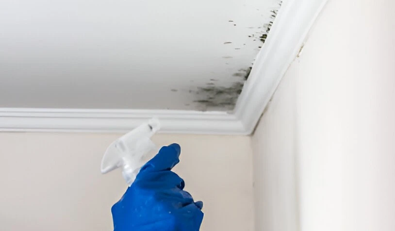 COMMENT NETTOYER VOTRE PLAFOND FACILEMENT (PH : DR)