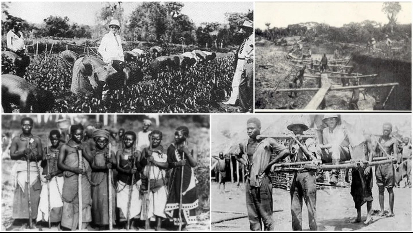 Colonisation française : l’Algérie remet sur la table une loi mémorielle sous 03 scénarios