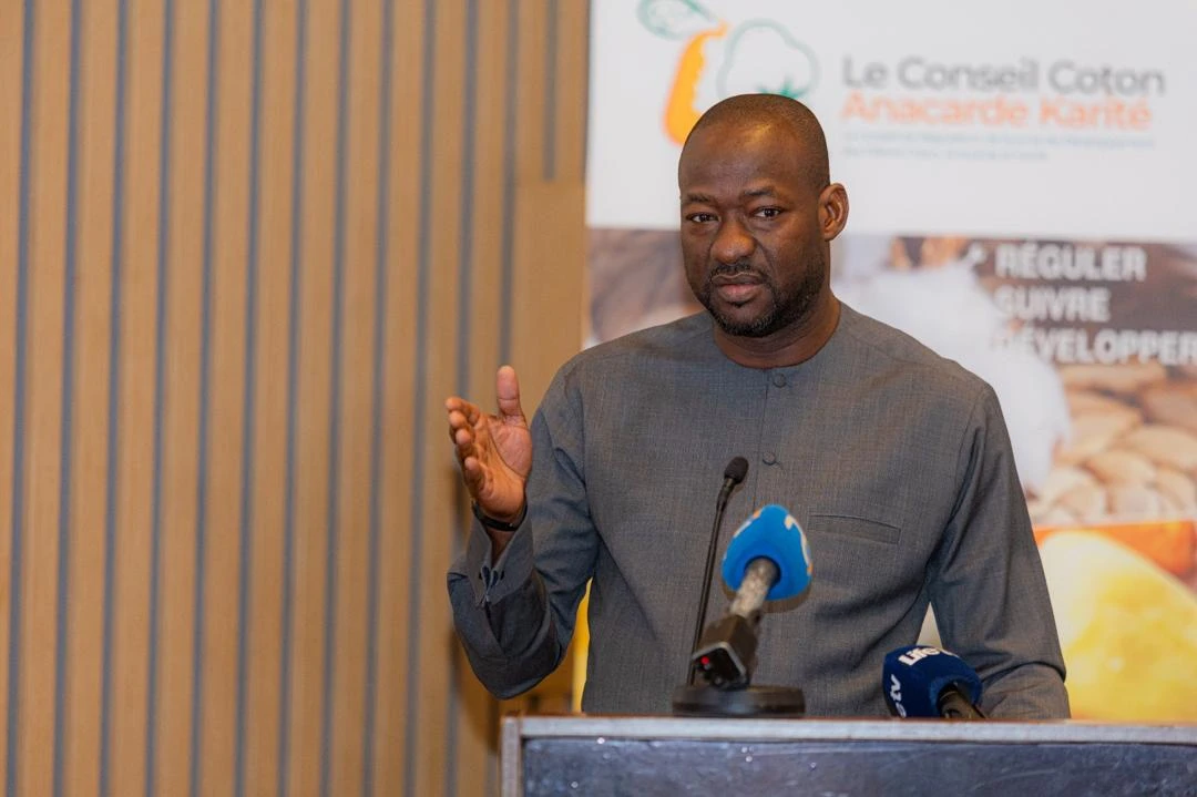 Campagne noix de Cajou 2026 :  Le CCAK et les exportateurs échangent sur le duo professionnalisation et discipline