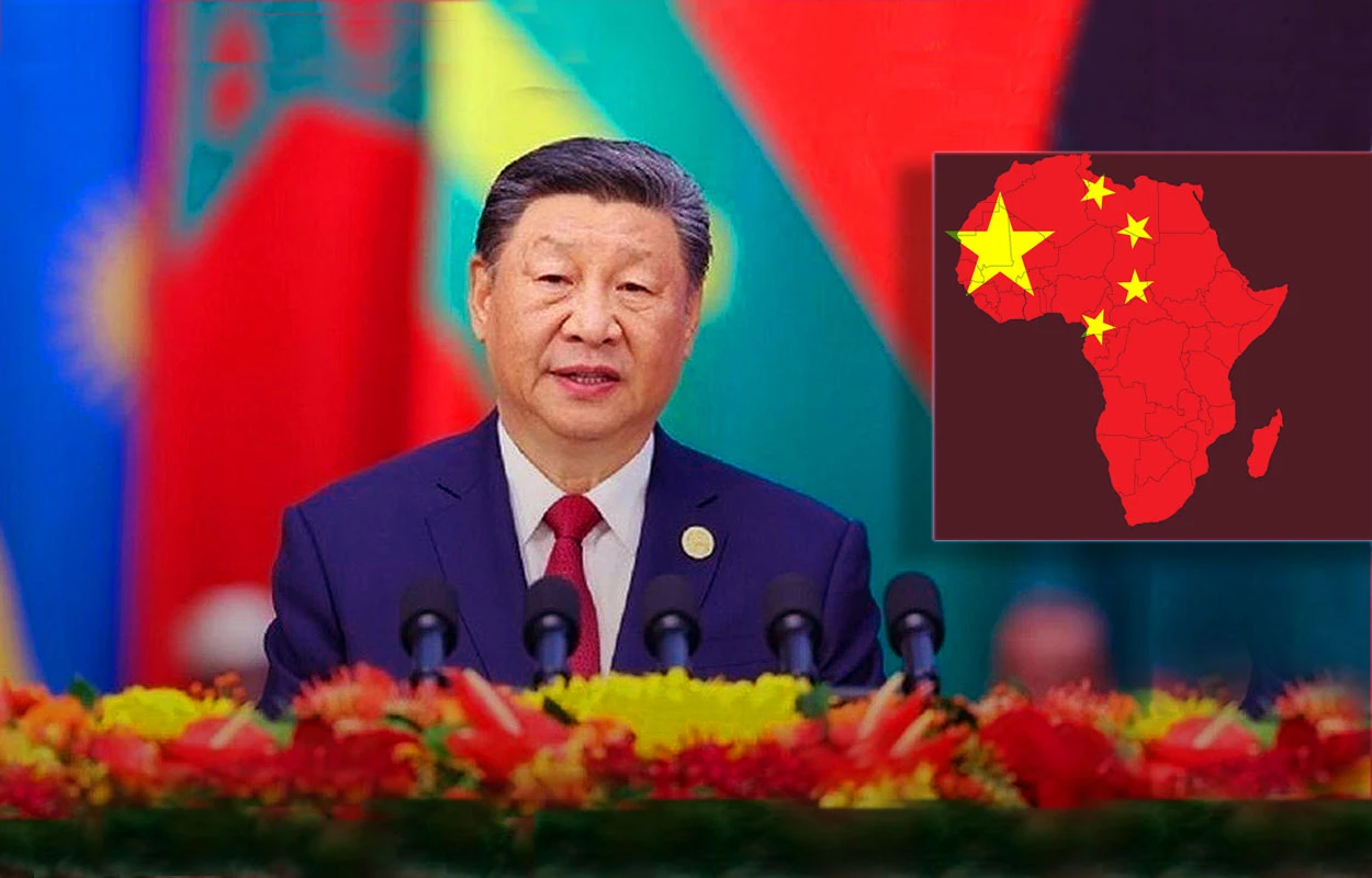 Tarif zéro chinois : La suppression des droits de douane stimule la Chine-Afrique