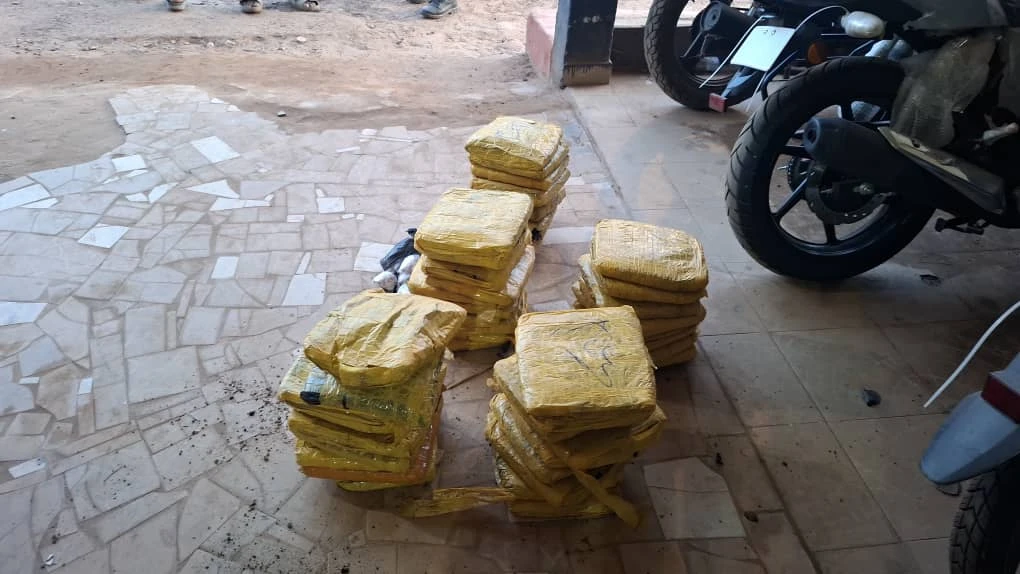 Duékoué : Poursuivis par la police, deux individus abandonnent 50 kilos de cannabis dans la broussaille