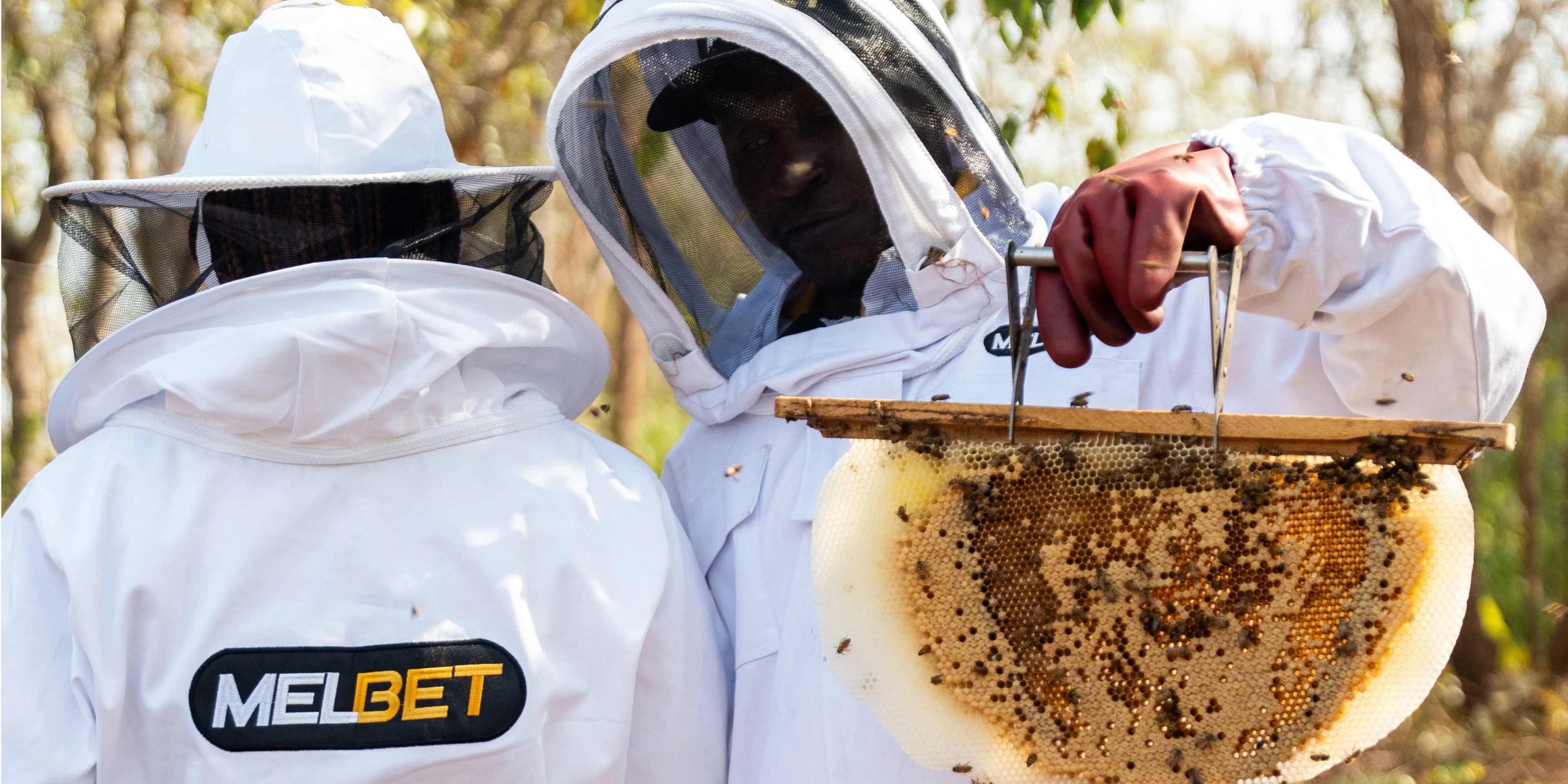 Les récoltes et la stimulation de l’économie : comment MELBET a marqué la Journée mondiale des abeilles