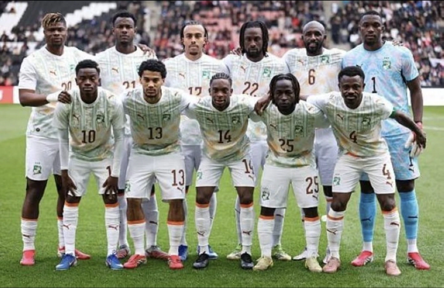 Elephants of Ivory Coast: Opponents, ambitions and assets ahead of the 2026 World Cup