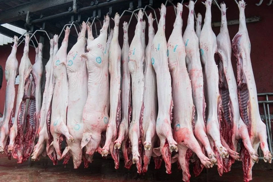 Filière porcine : le MIRAH et l’Union européenne en mission 