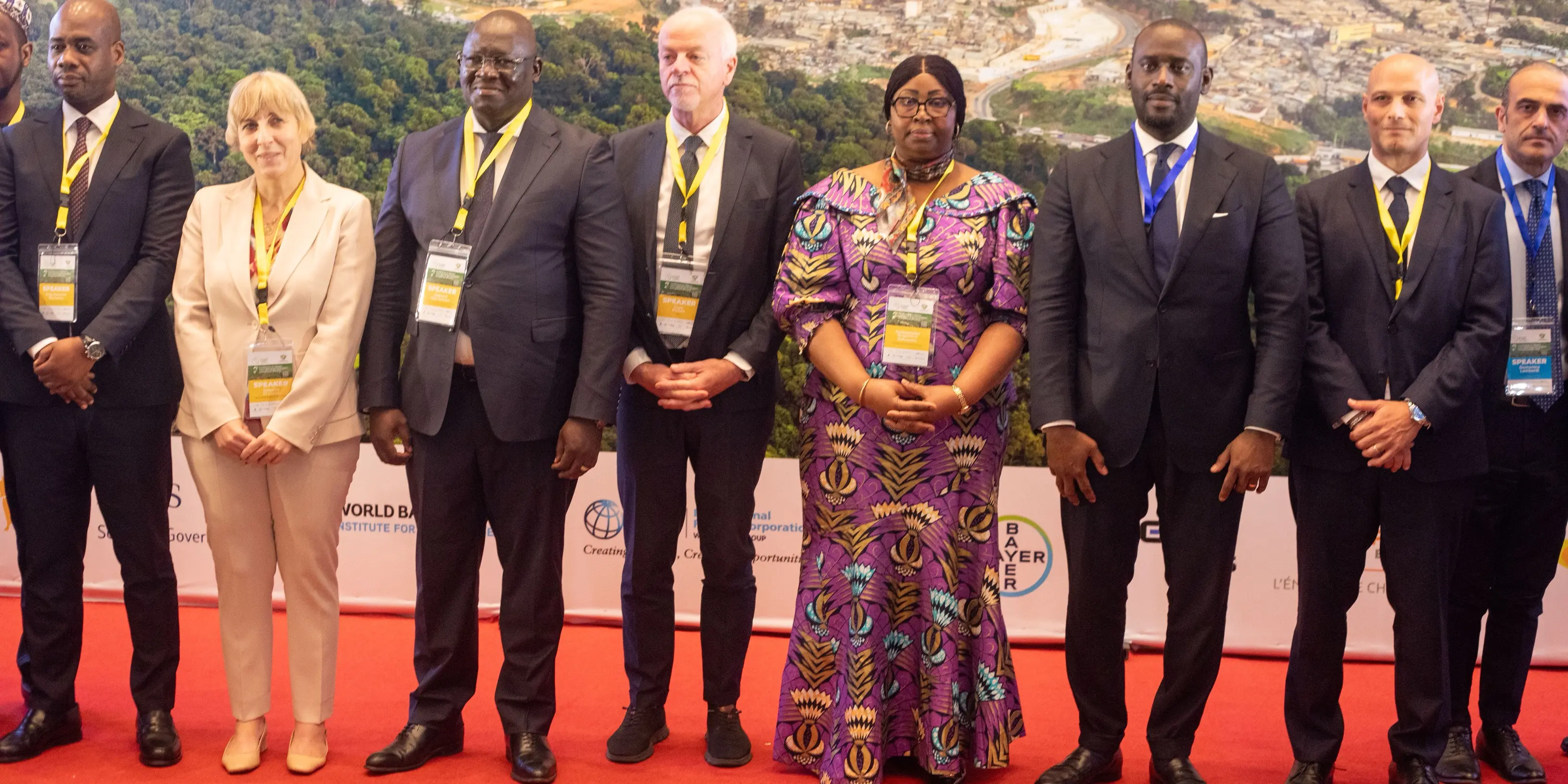 Africa wants to accelerate its energy transition without impacting food security