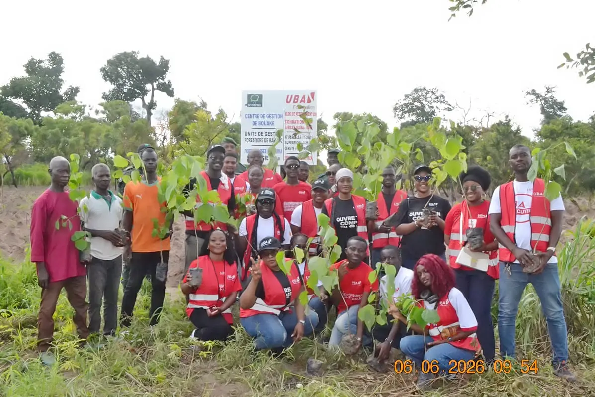 Bouaké : La Fondation UBA Côte d'Ivoire poursuit son engagement environnemental avec une opération de reboisement