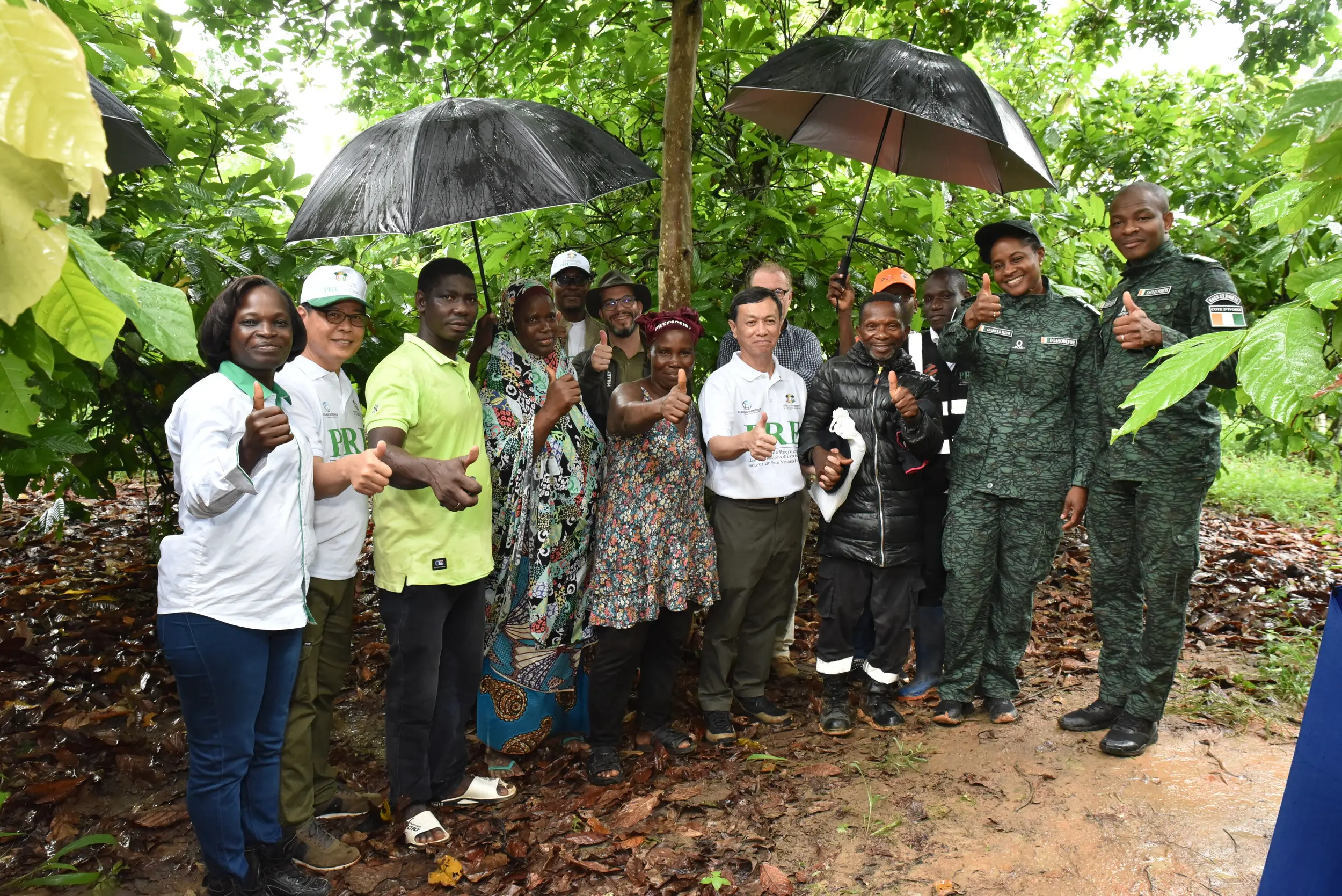Forest Carbon: Côte d'Ivoire Becomes a Model for Cambodia in Taï