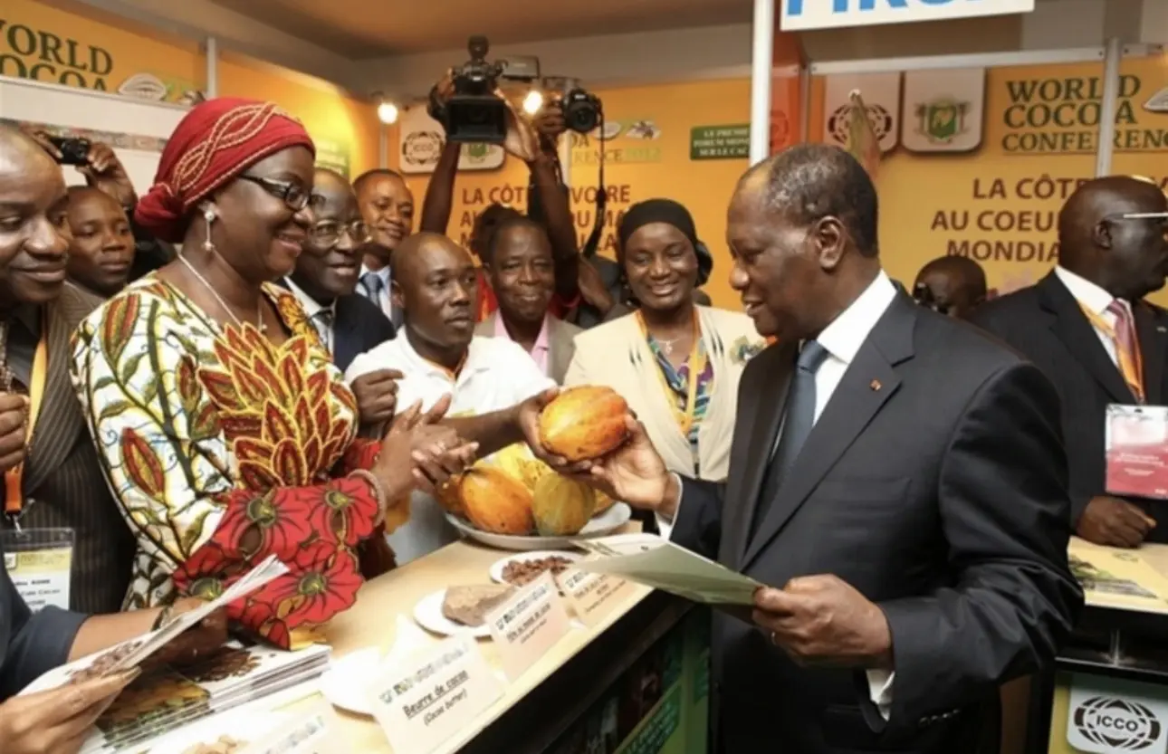 Cacao : la prochaine récolte ivoirienne relance l'hypothèse d'un retour aux prix records de 2025