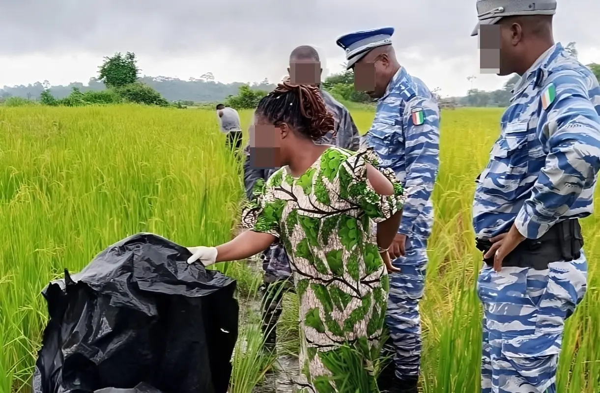 Zakroguhé (Issia): A Young Woman Atrociously Killed in Her Rice Field, Perpetrator on the Run