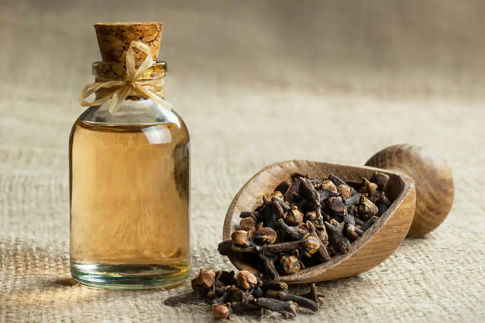 Clou de girofle : Le secret beauté qui séduit de plus en plus