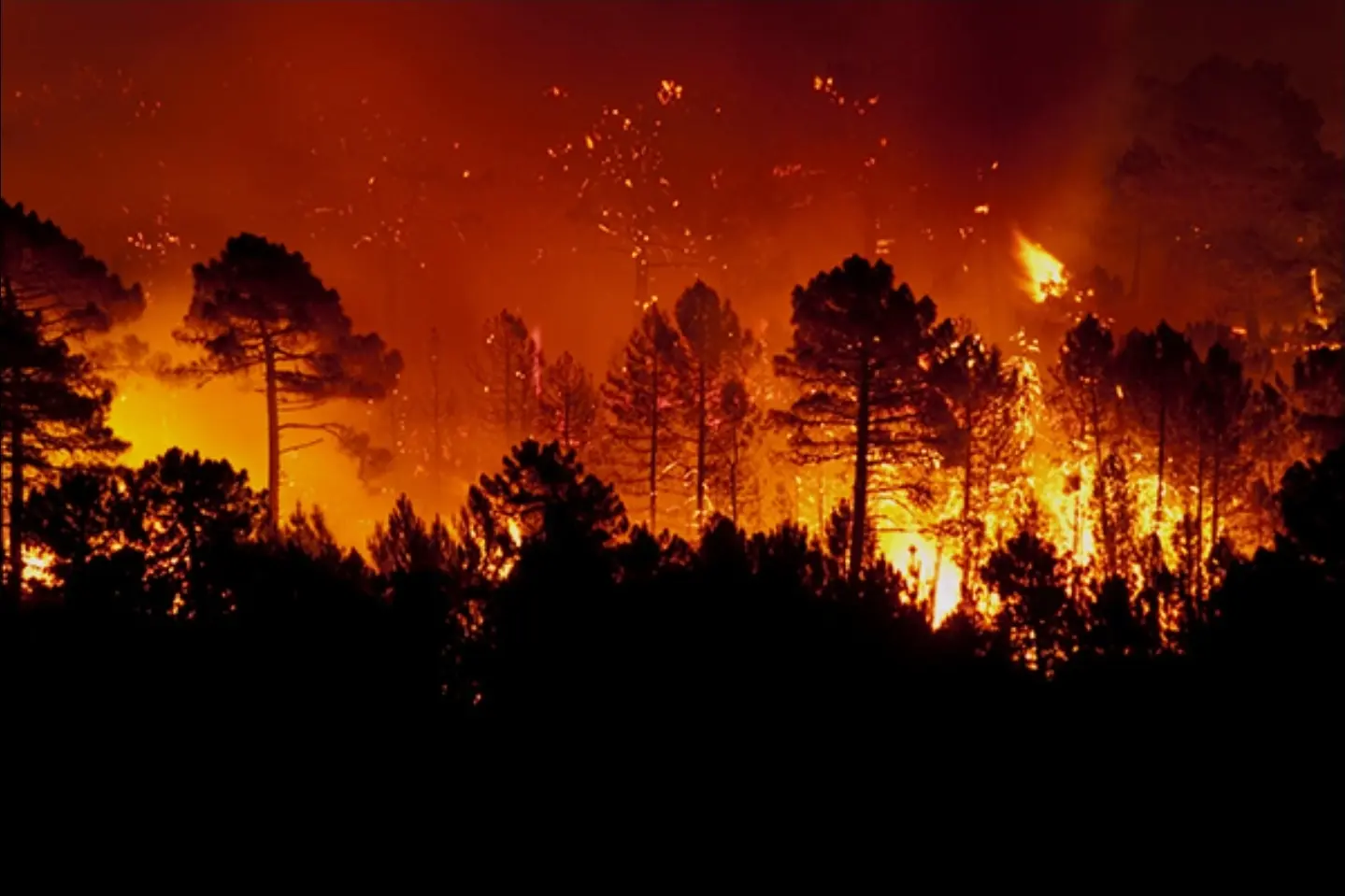 Incendies en Europe : Le réchauffement climatique attise les feux du nord au sud