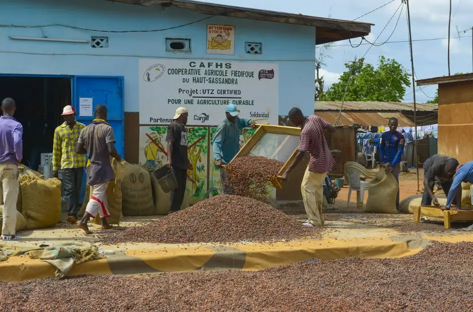 Pourquoi le cacao ne fait plus tourner seul l'économie ivoirienne