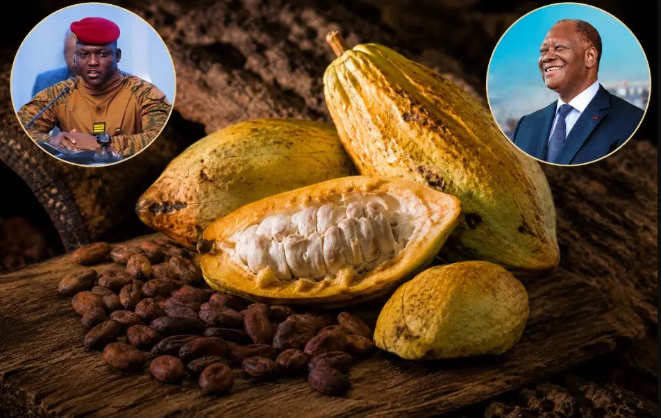 Le Burkina veut développer le cacao : une concurrence future pour la Côte d'Ivoire ?