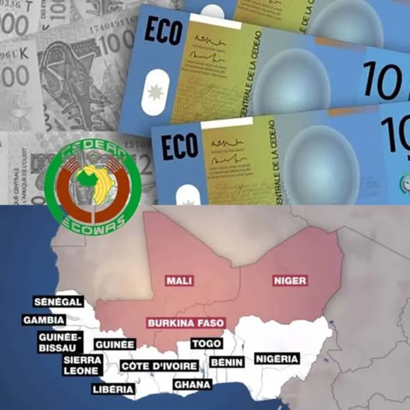 Valeur de l'Eco comparée au Franc CFA et l'Euro : Ce qui est vrai ou faux !