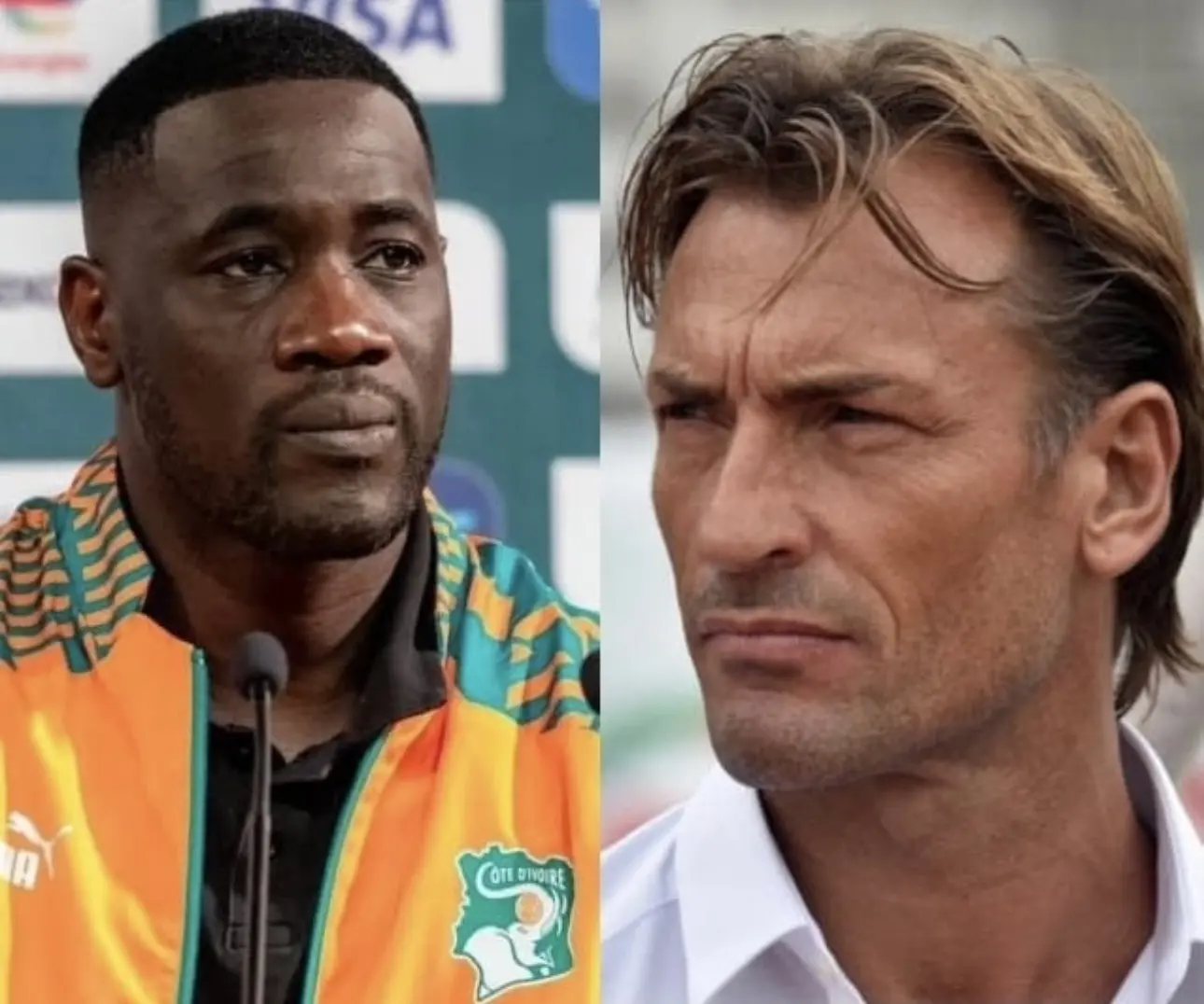 De retour chez les Éléphants, le premier message d'Hervé Renard à Emerse Faé