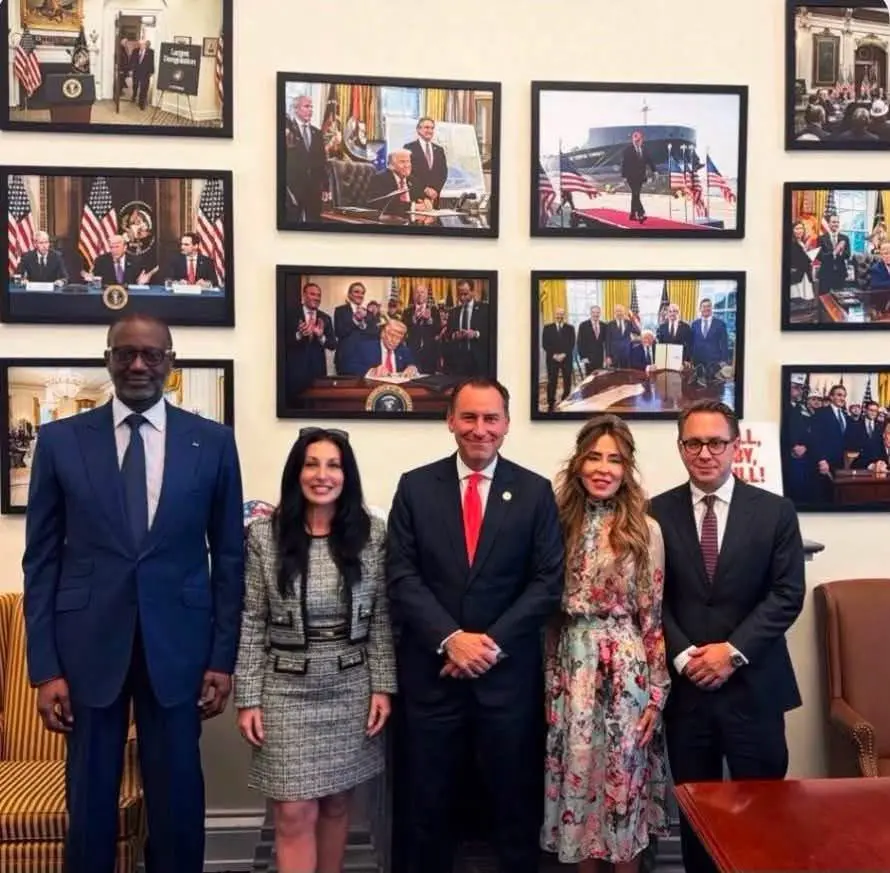 Minerais critiques : Tidjane Thiam associé à un projet présenté à la Maison-Blanche