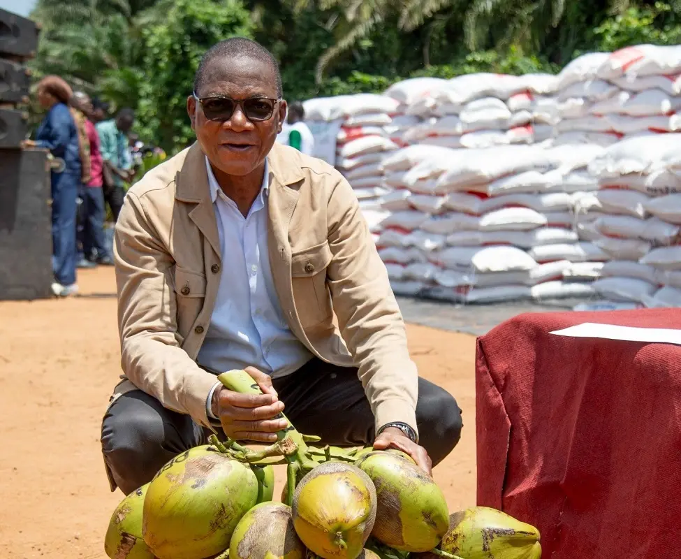 World Coconut Day: The Government Focuses on Local Processing