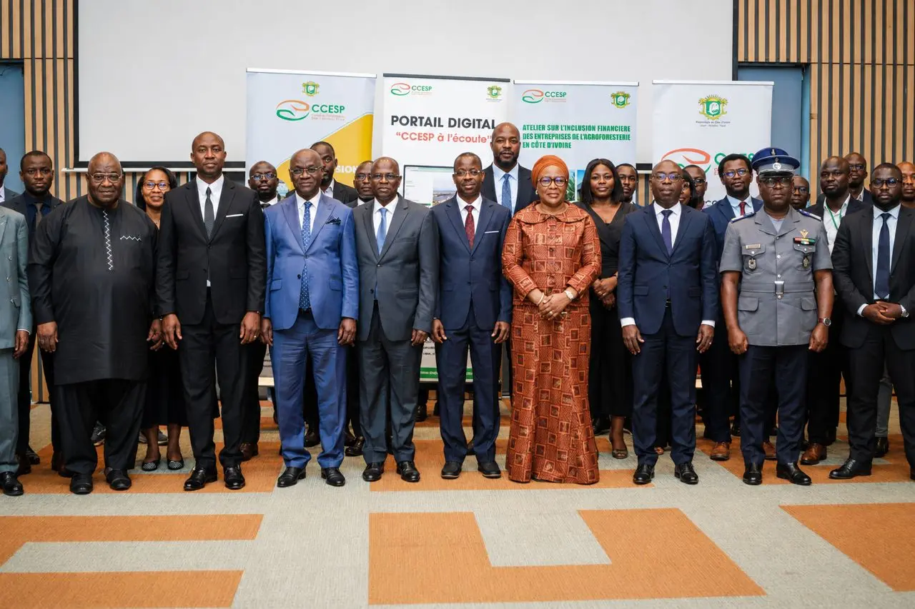 Agroforestry: Banks and public actors seek solutions to finance rural areas