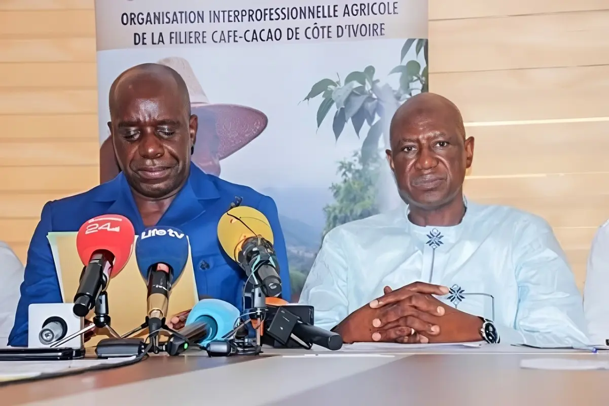 Prix du cacao à 1 200 FCFA : l’OIA Café-Cacao s’oppose à la grève annoncée des producteurs