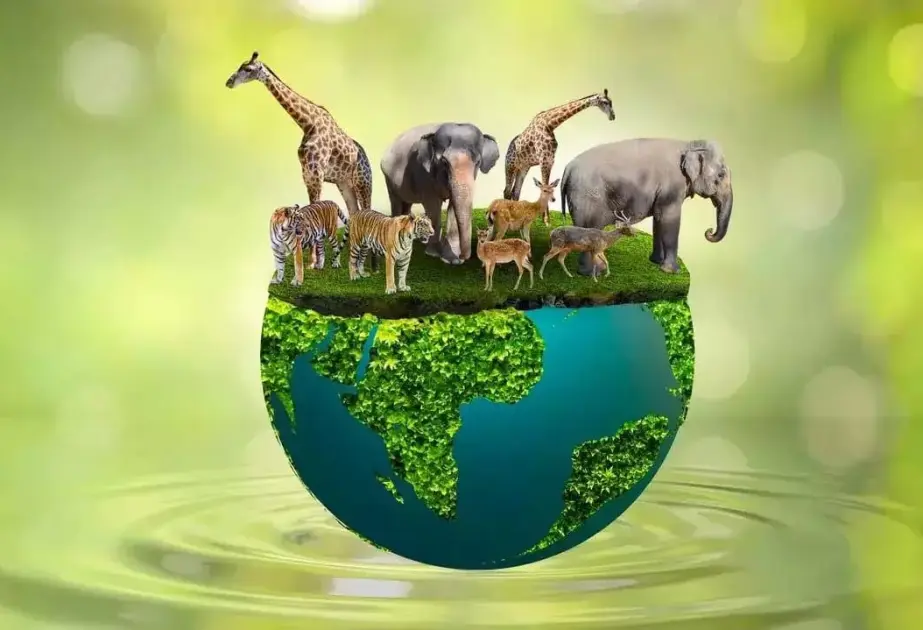 The Kunming Dialogue concludes with a call to accelerate biodiversity measures ahead of COP 17