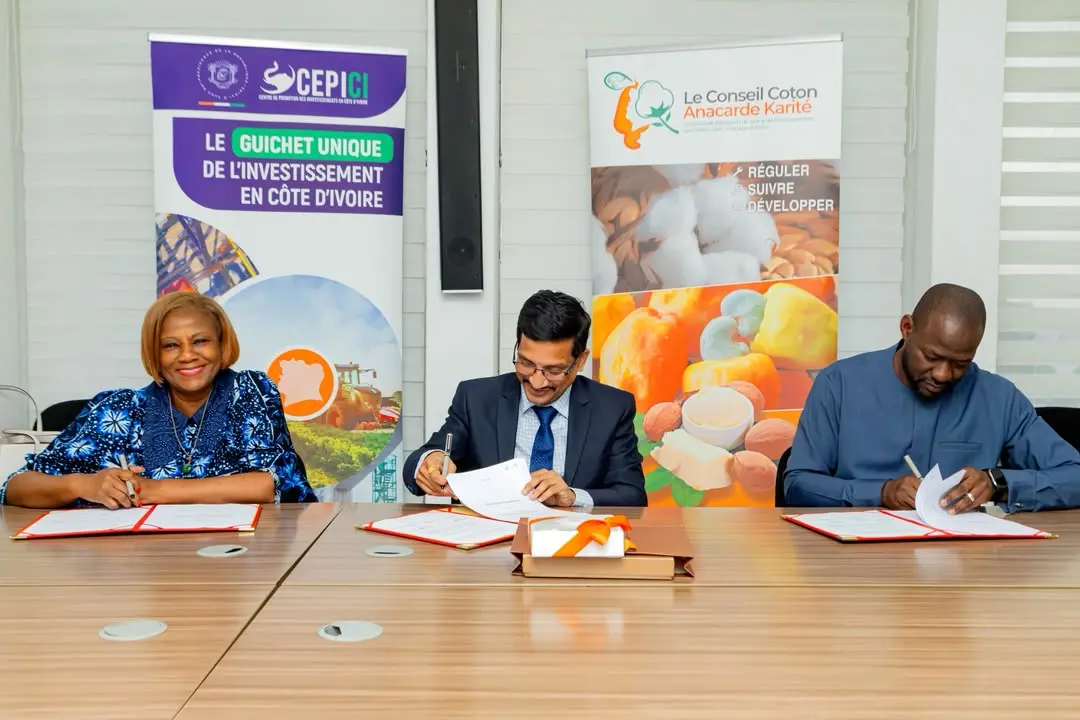 Ivory Coast: Cashew Shells at the Heart of a New Industrial Chain