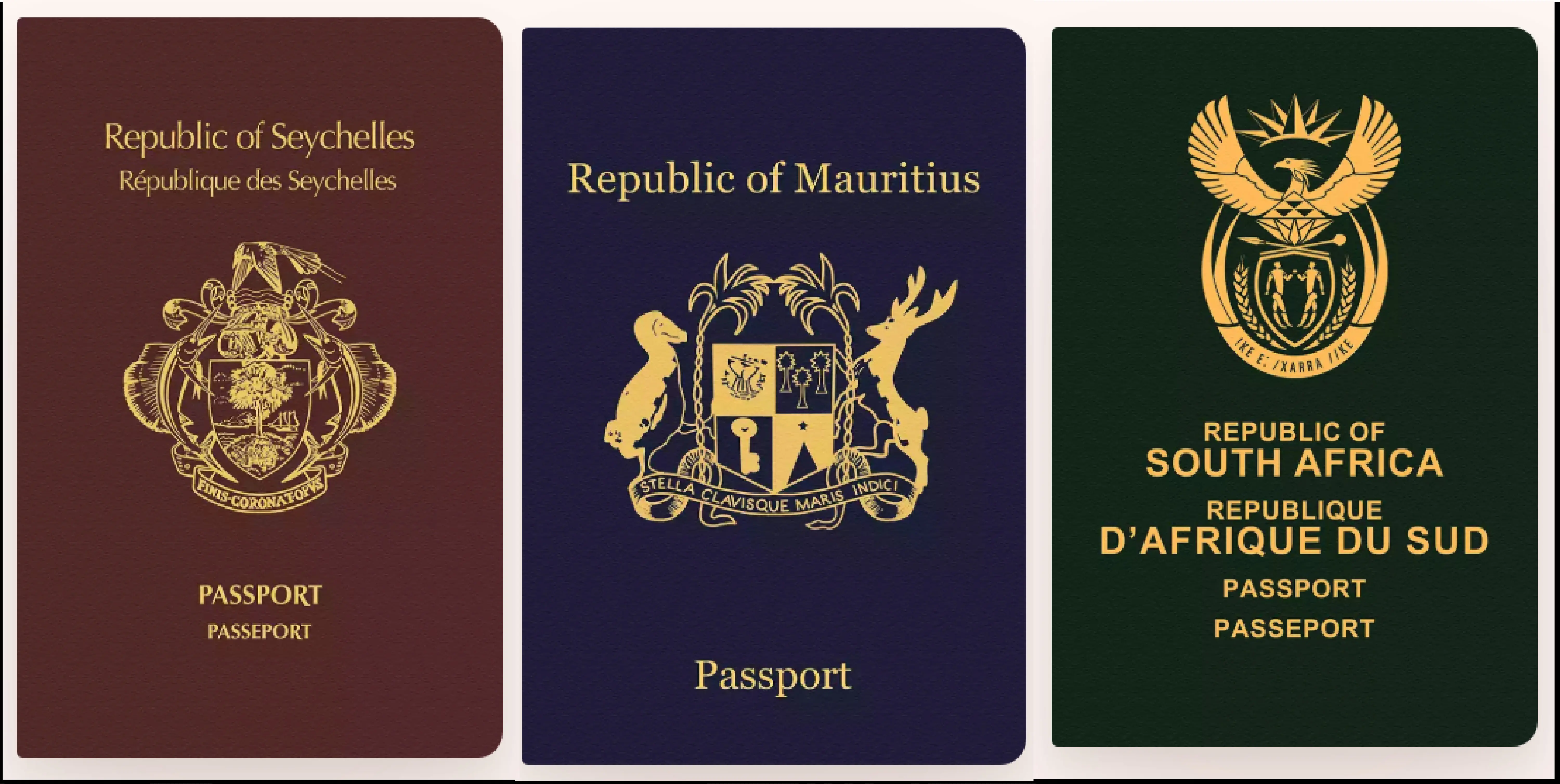 Top 10 des passeports africains en 2026 (Classement Visa Index)