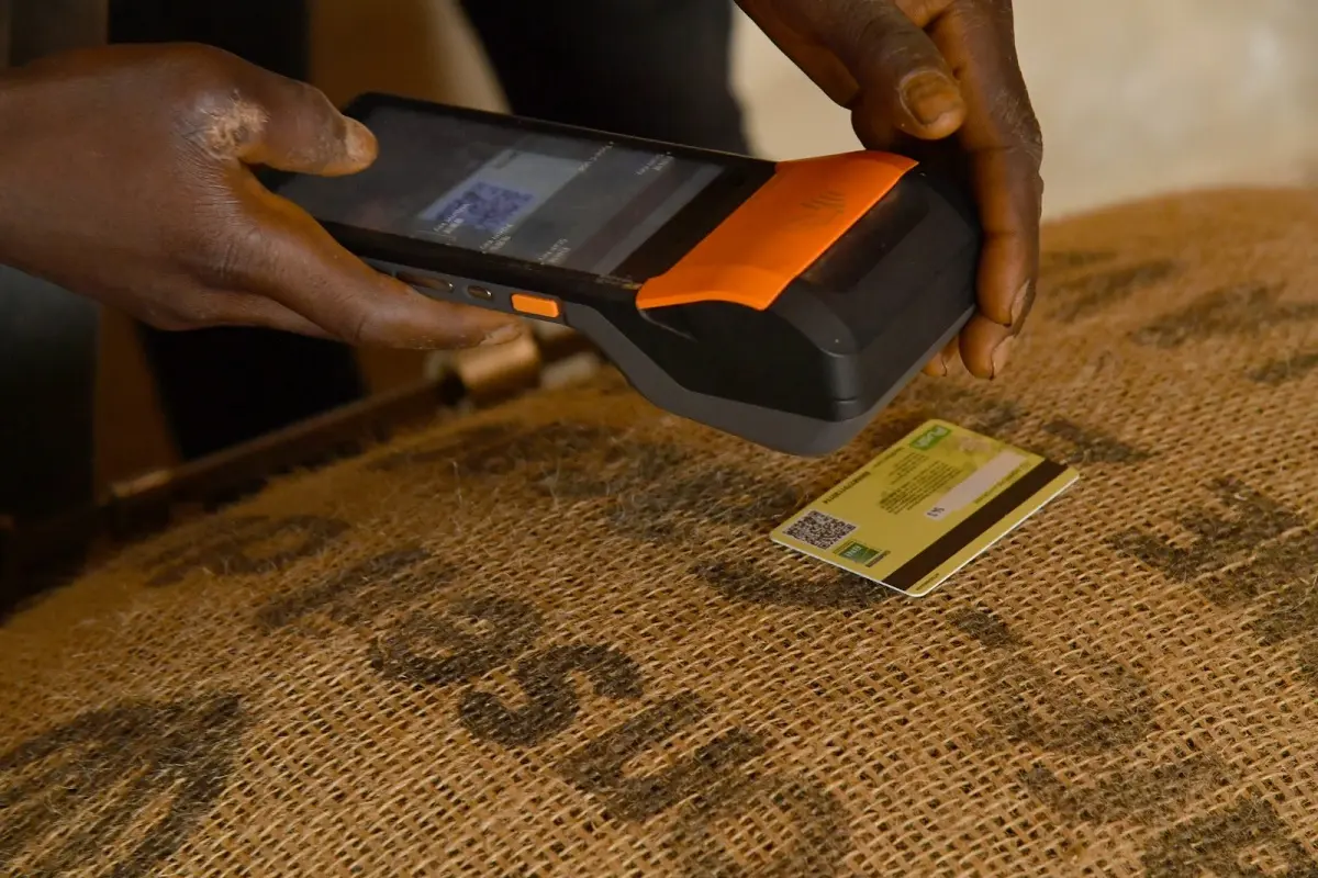 Commercialisation du cacao : Plus de 50 000 tonnes de fèves déjà achetées via le SNT en deux semaines