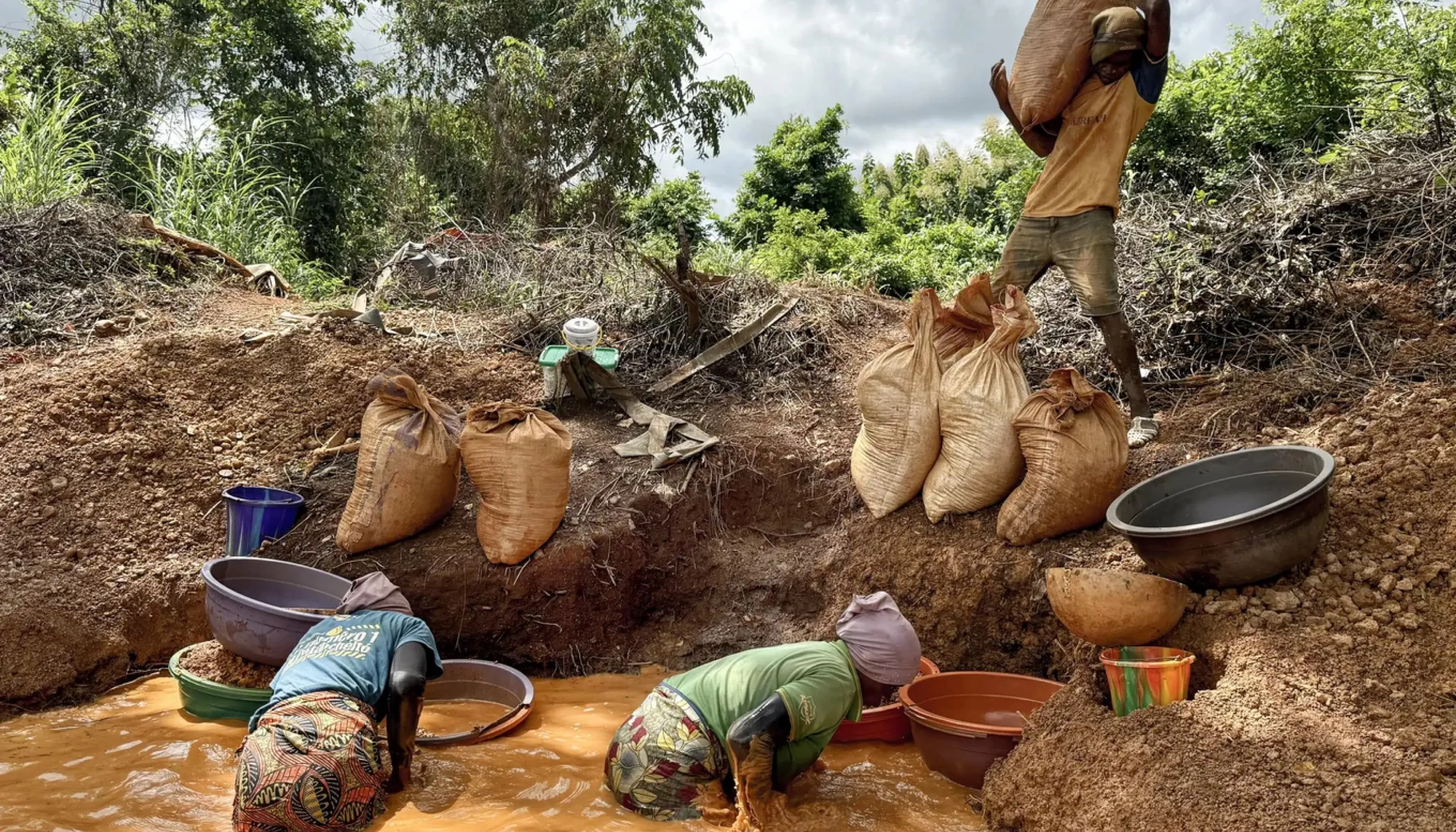 The government tightens sanctions against illegal gold panning and dredging / first test for Renard