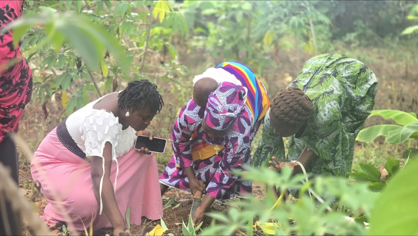 After Gold Panning, These Holes Cannot Be Left: How NGO AEIE Revives Devastated Lands