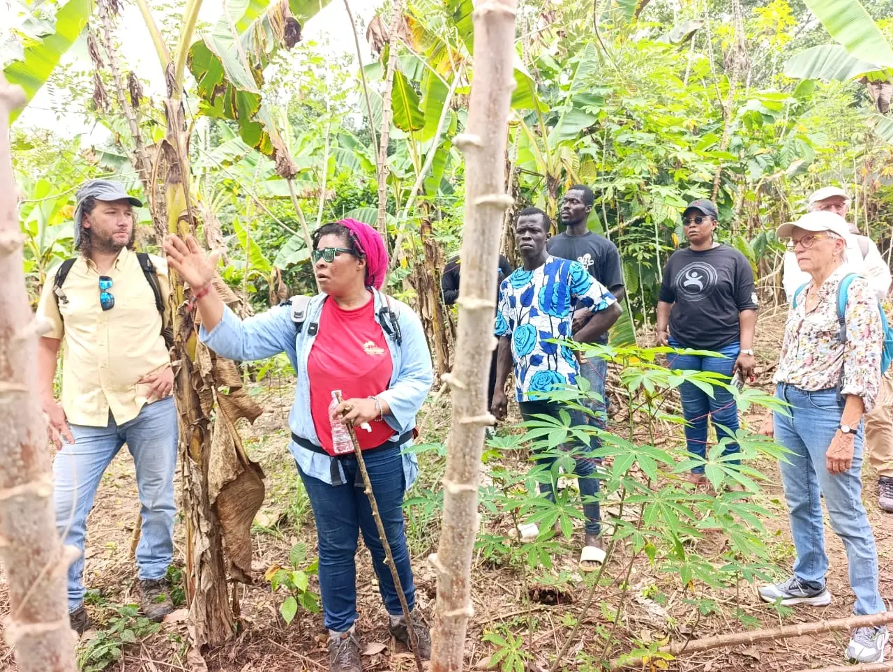Joyce Tapé: When the Land of Divo Inspires Her Blues and Ecological Fight