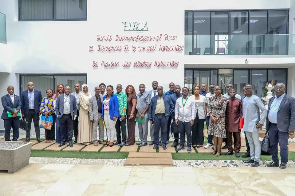 Le FIRCA et l’APROMAC explorent une nouvelle source de valorisation du bois d’hévéa en fin de vie