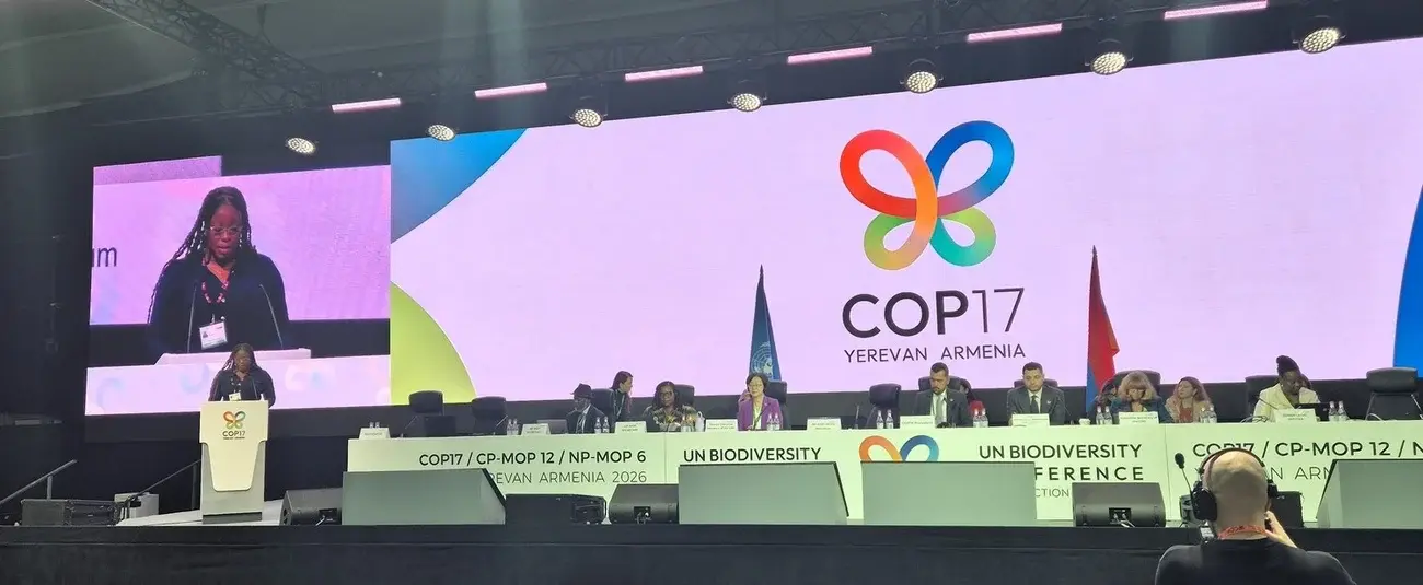 COP 17 Biodiversité : La Banque africaine de développement veut accélérer le financement de la biodiversité
