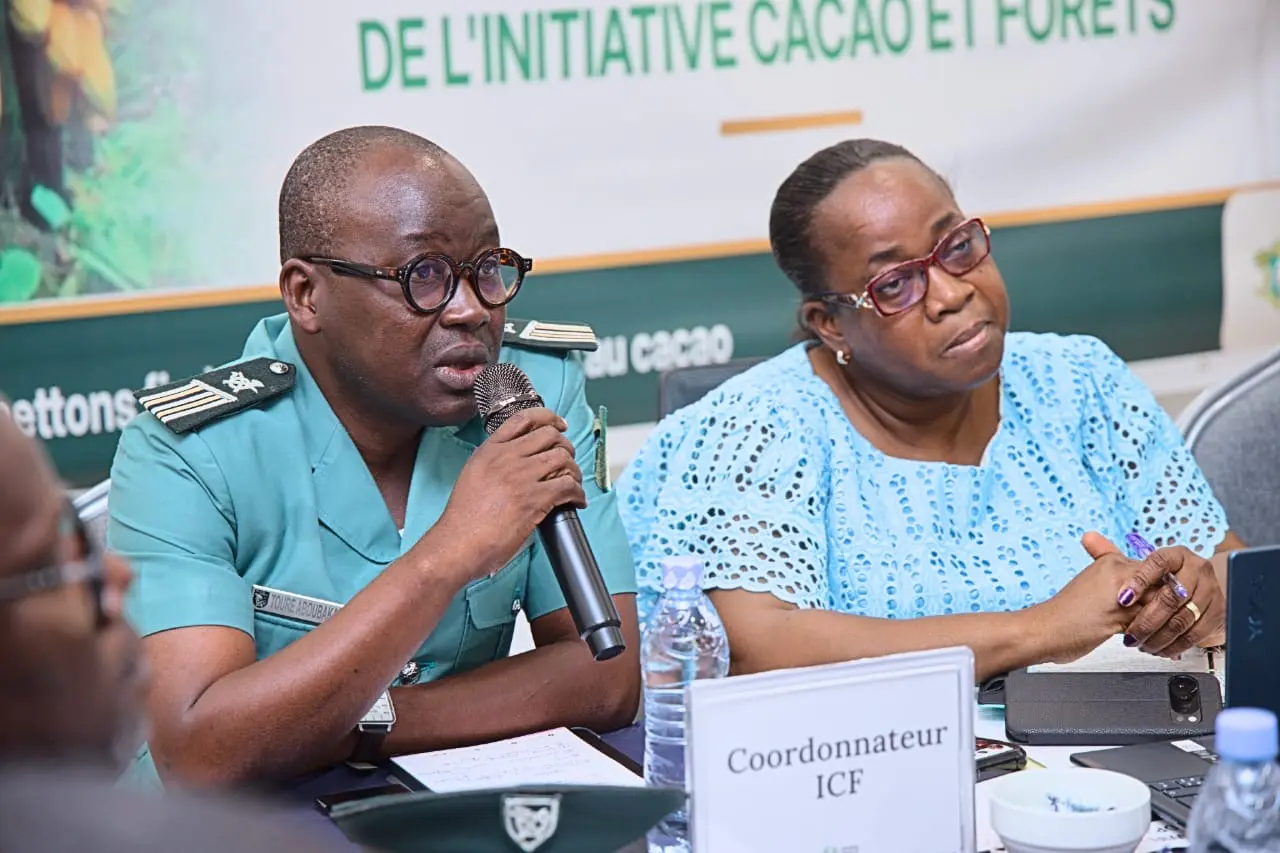 Cacao et forêts en Côte d’Ivoire : 47 milliards de FCFA visés pour freiner la déforestation