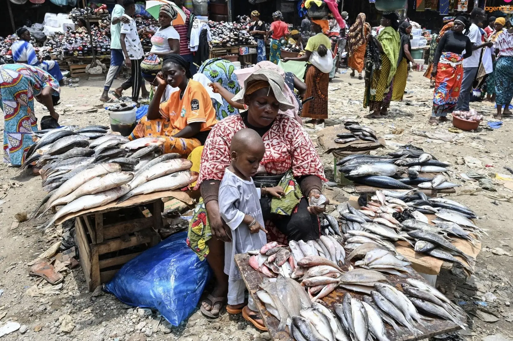 Côte d’Ivoire Exposed to a New Jihadist Corridor / Fish Sellers “Taken for a Ride”