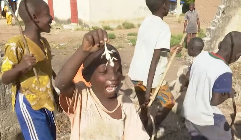 Les enfants de Bougou, localité située dans le département de M'bengué raffolent de la viande de margouillat