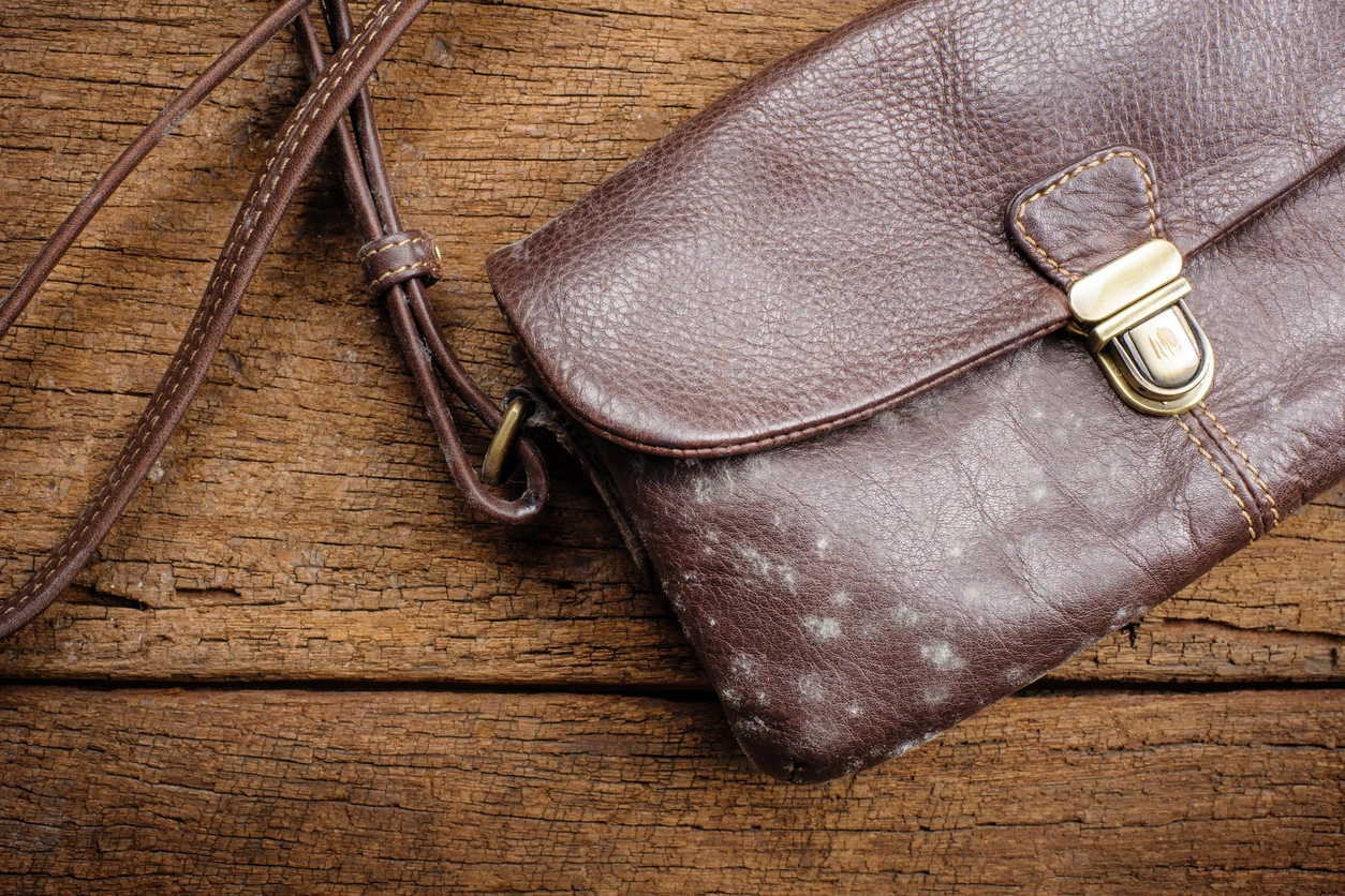 astuces pour enlever des taches du cuir sans l’abîmer