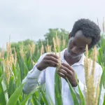 la-revue-de-l-actualite-internationale-la-force-conjointe-aes-activee-debarquement-de-provence-en-france-doha