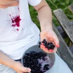 la-bataille-contre-les-taches-de-fruits-rouges-des-solutions-simples-et-efficaces