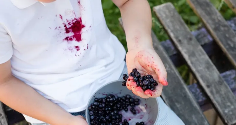 la-bataille-contre-les-taches-de-fruits-rouges-des-solutions-simples-et-efficaces