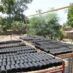 senegal-l-association-nebeday-s-emploie-a-fabriquer-du-bio-charbon-a-partir-de-paille