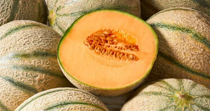 transformez-les-graines-de-melon-en-apero-original-une-recette-economique-et-gourmande