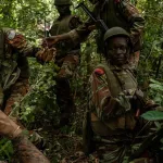 lutte-contre-le-terrorisme-le-togo-en-mode-resilience-face-au-groupes-armes-dans-la-region-des-savanes