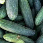 reseaux-sociaux-decouvrez-comment-une-celebre-recette-sur-tiktok-a-cree-une-penurie-de-concombres-en-islande