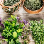 phytotherapie-trois-plantes-medicinales-a-cultiver-chez-vous
