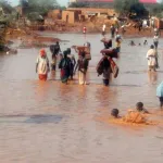 inondations-au-niger-plus-de-7-000-tonnes-d-aide-humanitaire-apportes-aux-populations-sinistrees